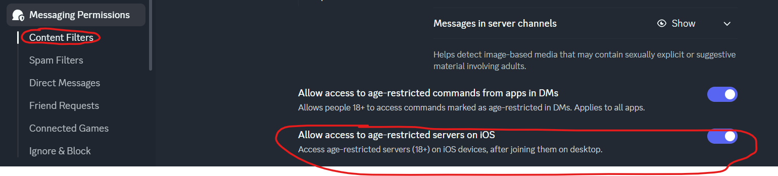 Discord Content Filters settings with Allow access to age-restricted servers on iOS turned on